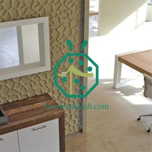 Eco-friendly 3D Decorative Wall Panels for Residential Apartment