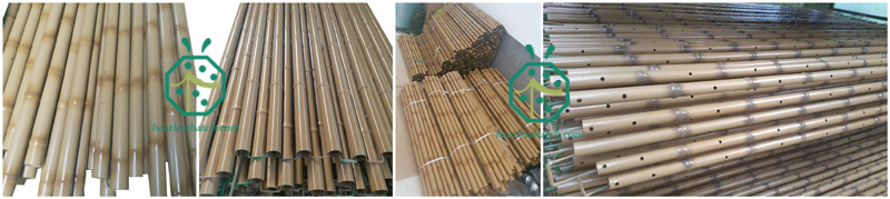 Garden Stainless Steel Bamboo Fencing