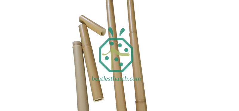 Beautiful Looking Plastic bamboo poles for DIY your garden backyard design