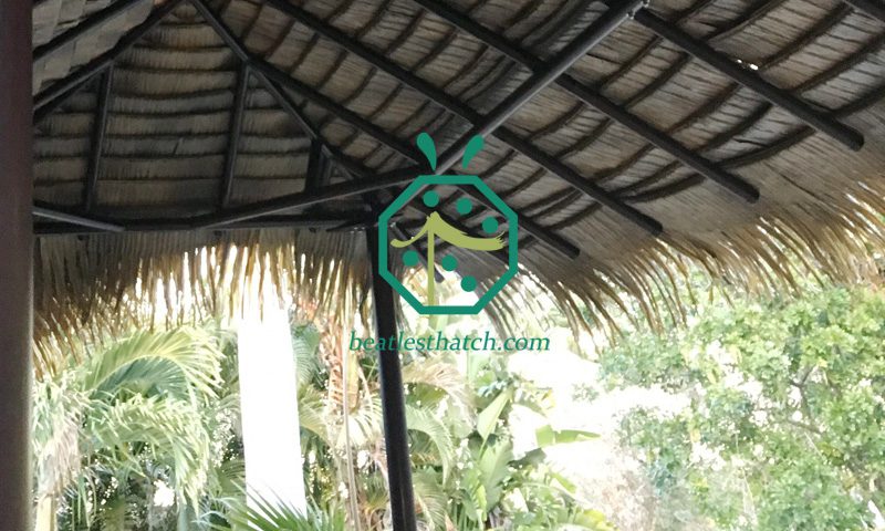 Interior looking of the plastic palm thatch roofing