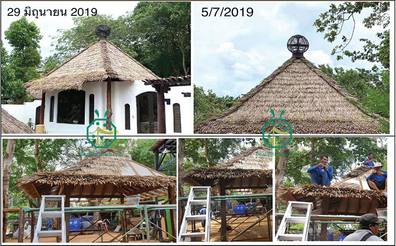 Fiber thatch roof installation for resort hotel garden log hut house construction