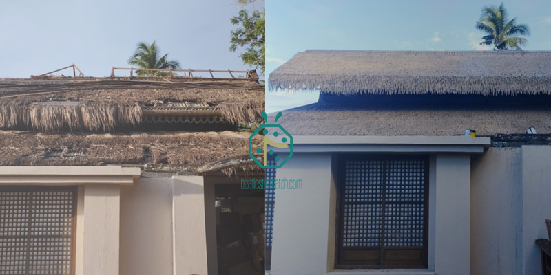 Natural Nipa Thatch Roof Comparing with Artificial Nipa Thatch Roof