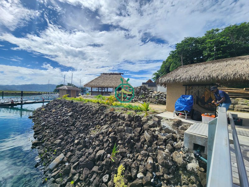 Fiji Island Bure Palm Thatch Roof Buildings