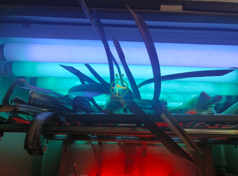 UV Retardant Accelerated Test Equipment for Synthetic Thatch Roofing