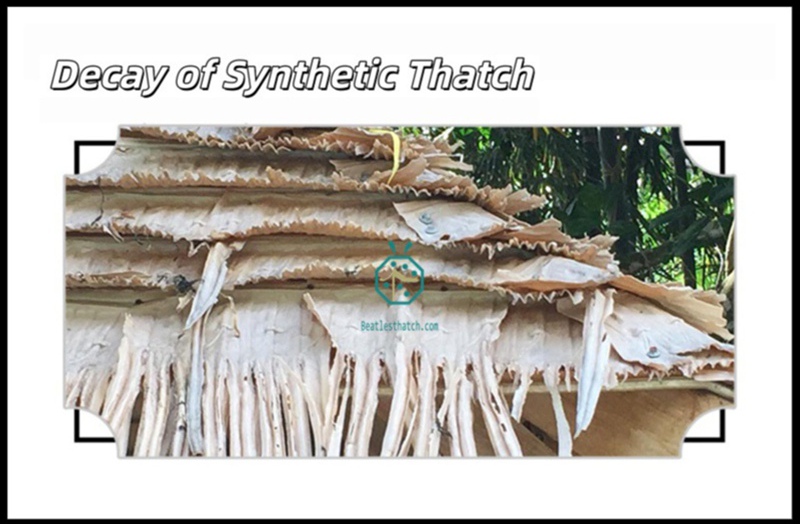 Decay of Synthetic Thatch for Resort Hotels