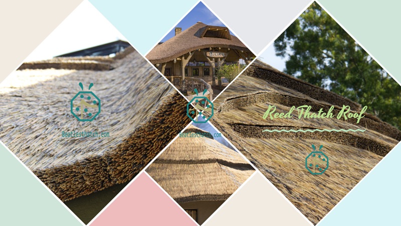 Synthetic Reed Rod Thatched Roof For Bungalow Structures Synthetic Reed Rod Thatched Roof For Bungalow Structures