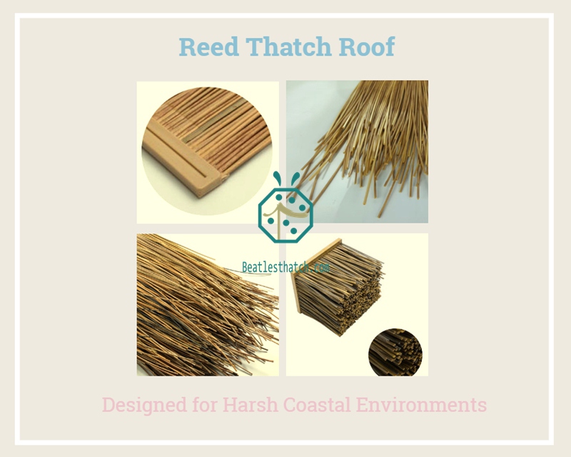 Synthetic plastic reed thatch roofing materials for Korea resort hotel pavilion construction Synthetic plastic reed thatch roofing materials for Korea resort hotel pavilion construction
