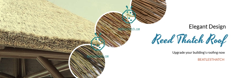 Buy artificial cane thatch roofing from China factory Buy artificial cane thatch roofing from China factory