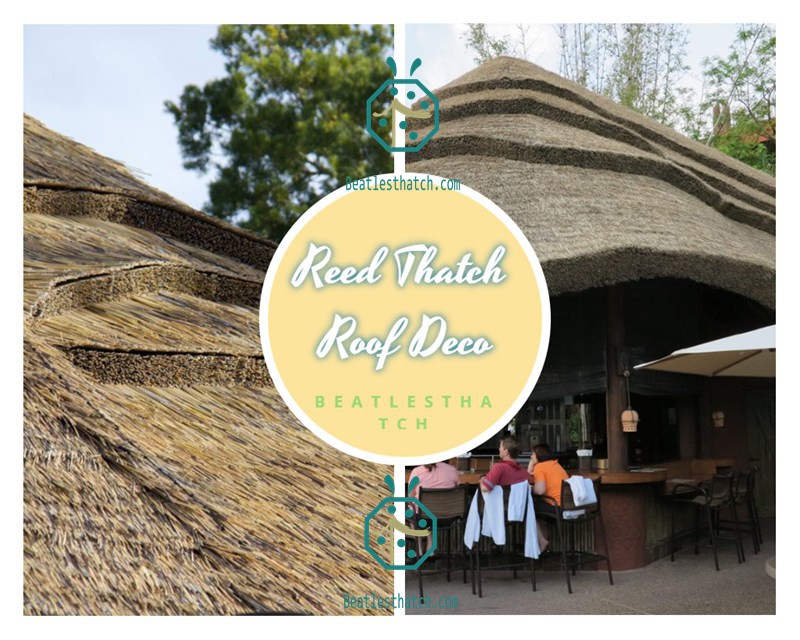 Synthetic Reed Rod Thatched Roof For Bungalow Structures Synthetic Reed Rod Thatched Roof For Bungalow Structures
