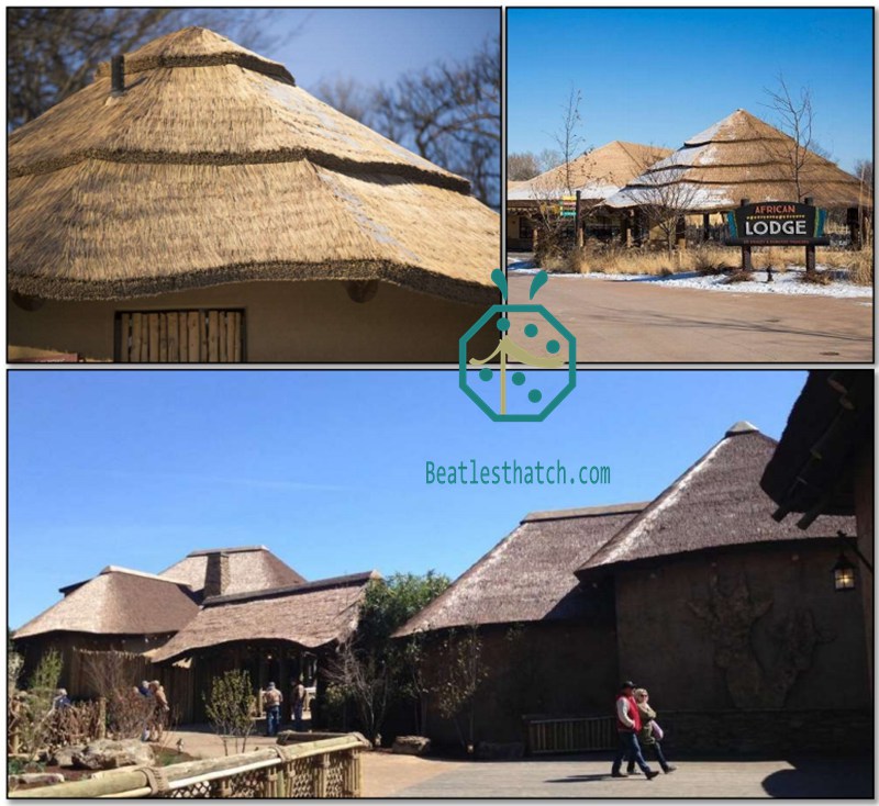 Synthetic reed thatch roof for waterfront landscape design for beach hotel villas