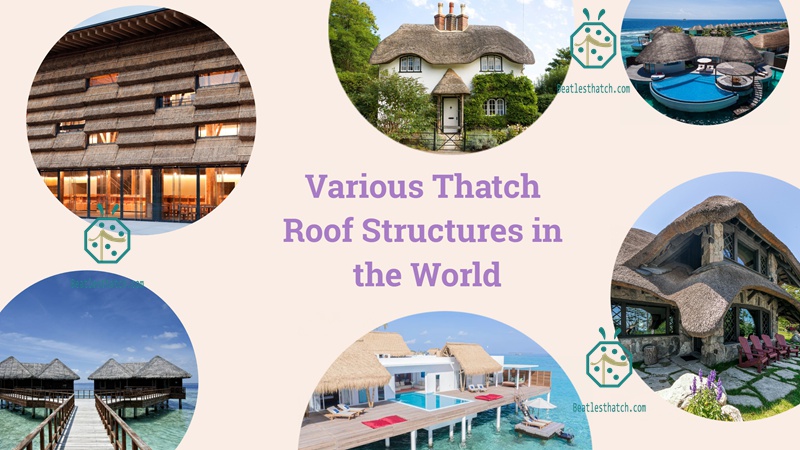 Thatched Roof For Various Roof Structures Thatched Roof For Various Roof Structures