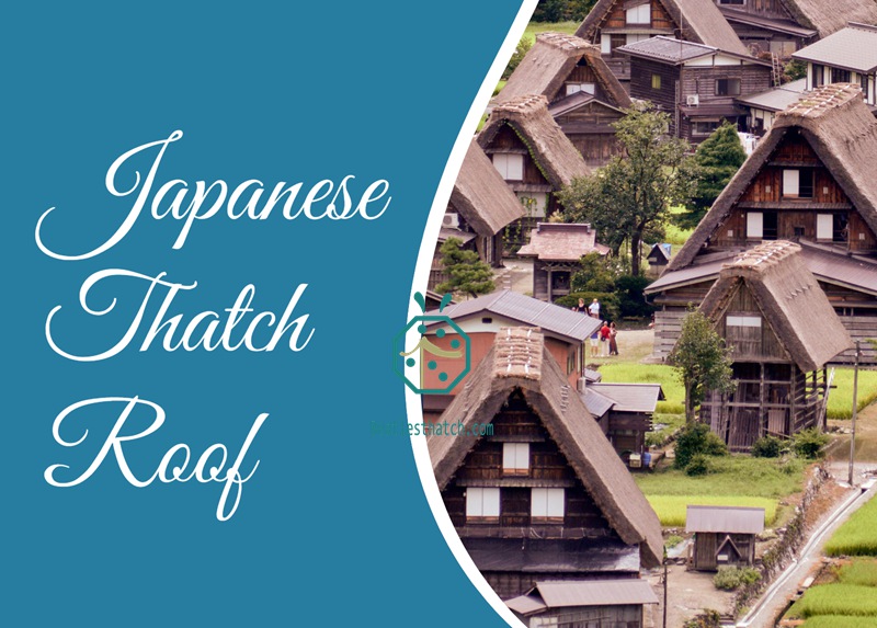 Ancient style thatched roof in Japan Ancient style thatched roof in Japan