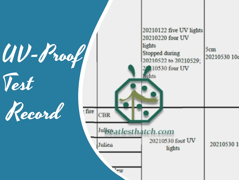 UV-proof test record for plastic straw thatch roof covering tiles UV-proof test record for plastic straw thatch roof covering tiles