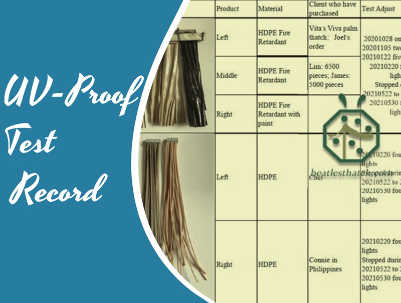 UV-proof test report by our own UV-test equipment for synthetic coconut thatch roofing tiles UV-proof test report by our own UV-test equipment for synthetic coconut thatch roofing tiles