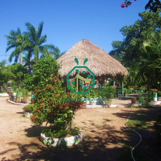 Best Artificial Safari Thatch Roofing Designs For Palapa China Safari Thatch Roofing Designs