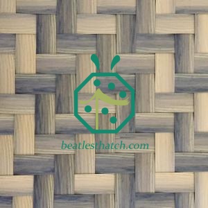 Plastic bamboo ceiling design