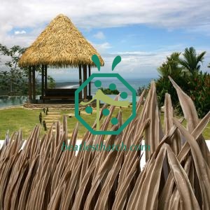 Best Simulated Cape Reed Thatched Tiles For Lapa Roof China Cape Reed Thatched Tiles For Lapa Roof