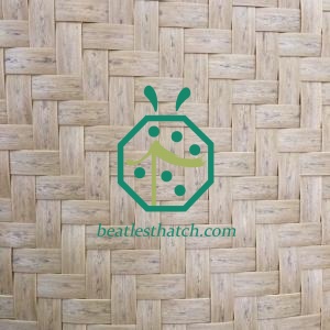 Plastic bamboo woven mat Mauritius