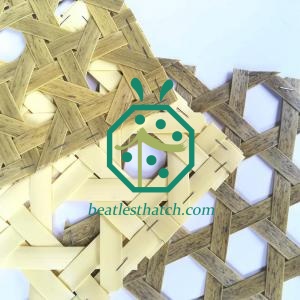Interior Decoration Design Plastic Woven Reed Mats