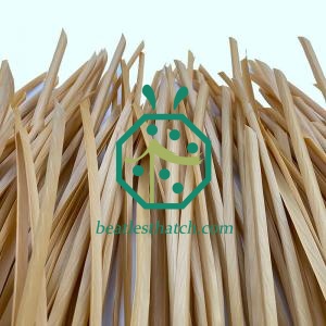 Plastic Straw Thatched Roof