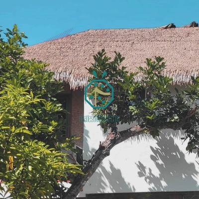 Theme Park Plastic Nipa Thatch Roof Wholesale