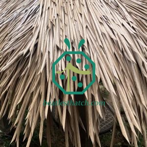 Artificial Alang Alang Thatch Roof