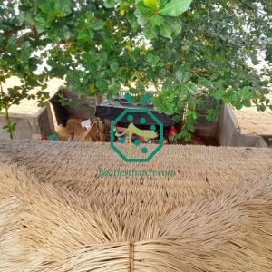 Theme Park Plastic Nipa Thatch Roof Wholesale