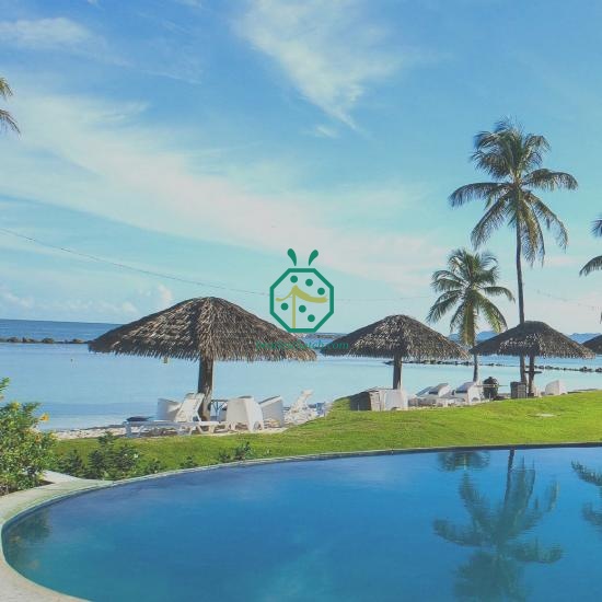 Artificial Fireproof Palapa Palm Thatch Panel French Polynesia