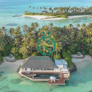 Long Lifespan Exotic Synthetic Thatch Roofing