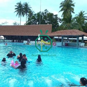 Premium Artificial Palm Thatch Roofing Supplier for Brunei Projects