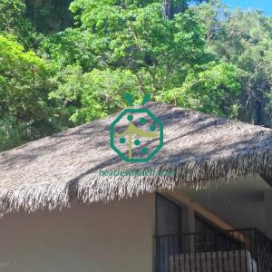 Fireproof Plastic Thatch Roofing | Cost-Effective Tiki Hut Solution
