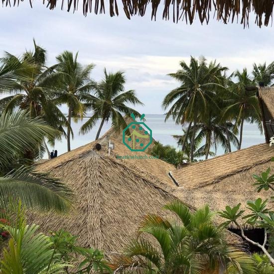 palm tree leaves for roofing