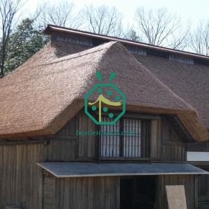 Synthetic Straw Thatch Roof