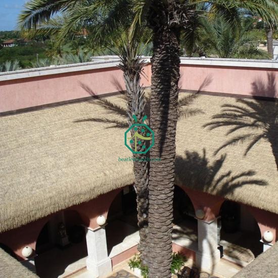 Eco-Friendly Reed Thatch Roofing System for Safari Lodges