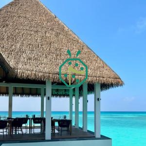 Seychelles Artificial Straw Thatched Roofs Covering Designs For Tiki Bar