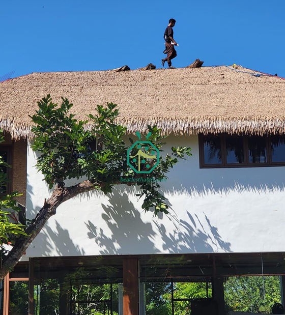 Quezon Synthetic Anahaw Thatch Roof Wooden Sheds