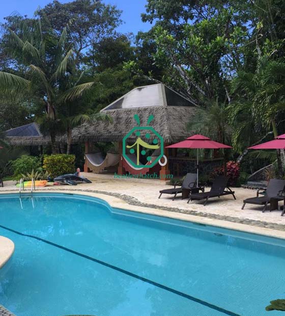 Costa Rica Synthetic Cottage Thatched Roof in Rain Forest