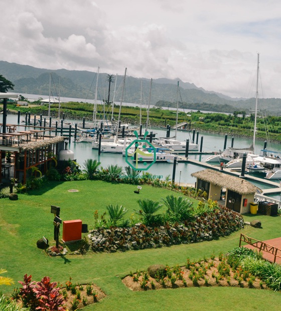 Fiber Palm Thatch Roofing for Fiji Bure House Decoration