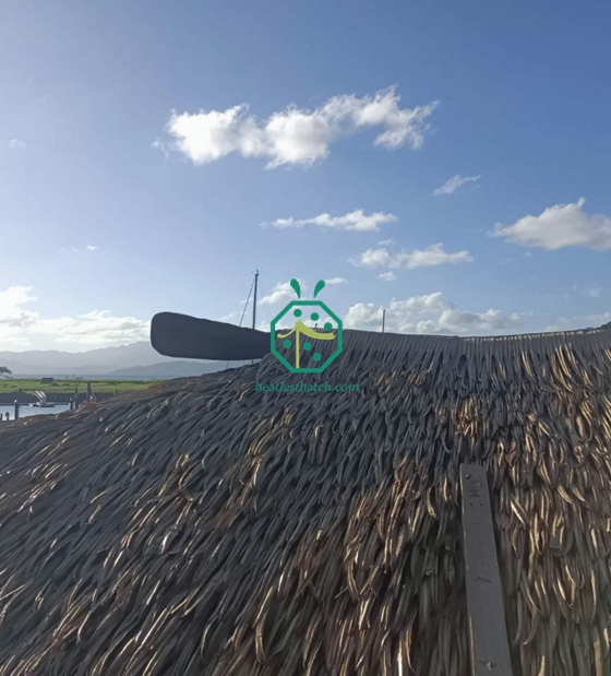 Fiji Real Estate Palm Tree Thatch Roof Decoration