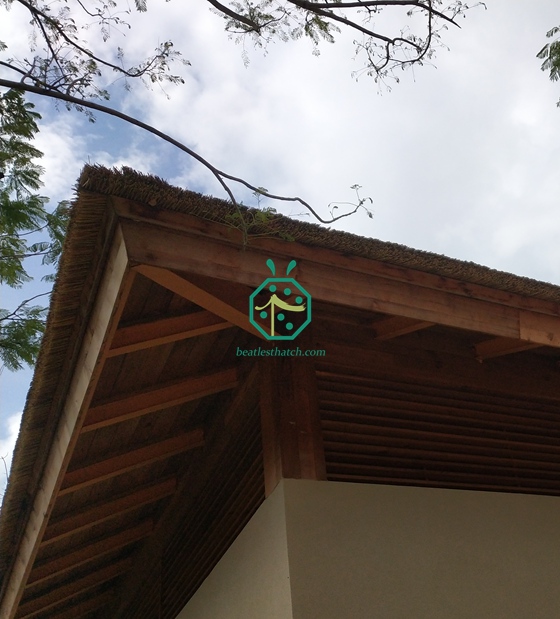 Waterfront Hotel Patio Artificial Straw Rod Thatch Roofing Project