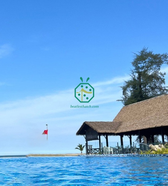 Malaysia Synthetic Attap Cottage Thatch Roof