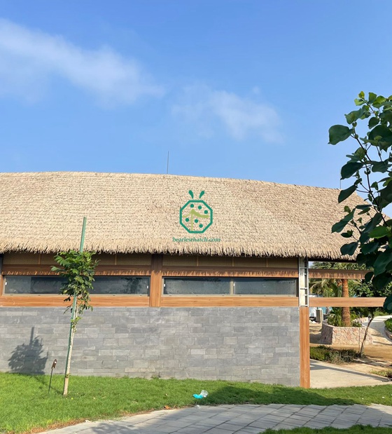 Saudi Arabia Theme Park Artificial Thatch Roof Projects