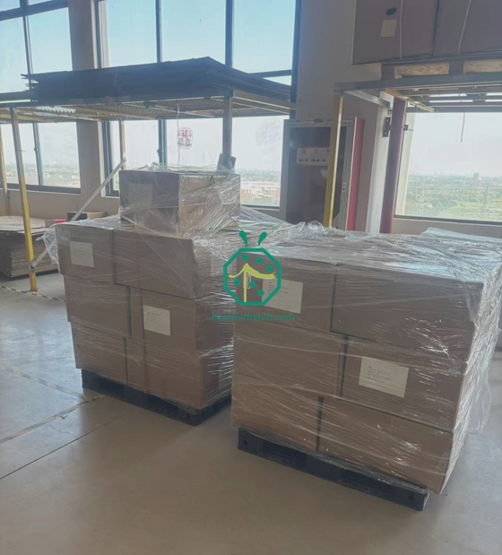 Seychelles Island Fiber Roofing and Privacy Screen Shipments