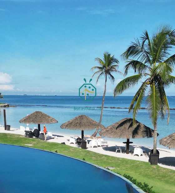 Panama Beach Resort Project Successfully Delivered