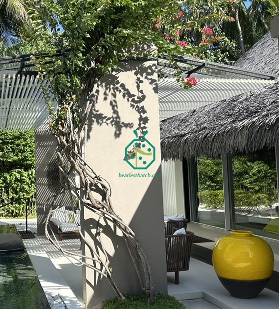 Maldives Garden Backyard Plastic Cadjan Thatch Roof