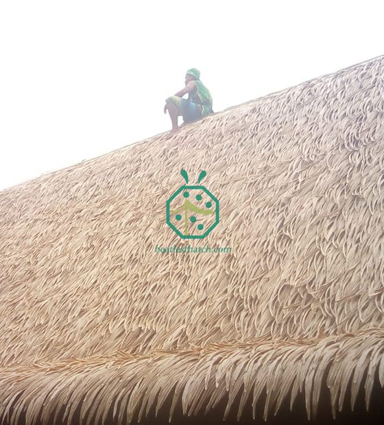 Oceania Country Artificial Palm Thatch Roofing Project