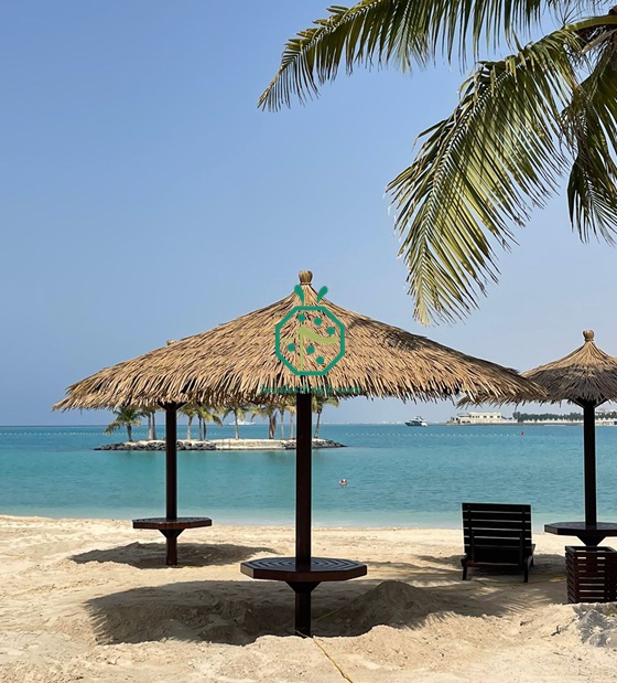Red Sea Plastic Thatch Roof Umbrellas in Saudi Arabia